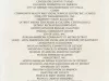 Flyer, Concert