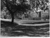 Print, Photographic - Elmwood Cemetery, looking southeast