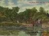 Postcard - Lily Pond, Belle Isle, Detroit, Mich.