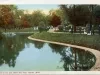 Postcard - Swans in the Zoo, Belle Isle Park, Detroit, Mich.