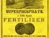 Advertisement - Superphosphate, A Bone Black Fertilizer.