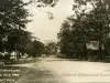 Postcard - A Driveway, Belle Isle Park, Detroit, Mich.