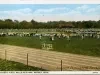 Postcard - Athletic Field, Belle Isle Park, Detroit, Mich.