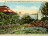 Postcard - Lily Pond at Aquarium and Horticultural Building, Belle Isle Park, Detroit, Mich.