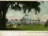 Postcard - Conservatory, Belle Isle Park, Detroit, Mich.