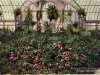 Postcard - Interior, Horticultural Building, Belle Isle, Detroit, Mich.