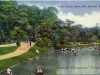 Postcard - Canal Scene, Belle Isle, Detroit, Mich.