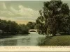 Postcard - Scene at Belle Isle, Detroit, Mich.