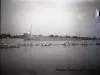 Negative, Glass-plate