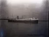 Negative, Glass-plate