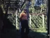 Transparency, Roll-film