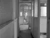 Negative, Film