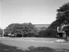 Negative, Film