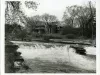 Print, Photographic - Rear-view of Fair Lane