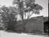 Negative, Film