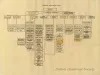 Chart, Organizational - Proposed Organization Chart