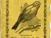 Booklet - The Canary and How to Take Care of It