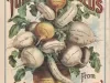 Poster - Turnip Seeds,
New & Reliable from D. M. Ferry and Co.