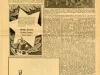 Newspaper - Truck Tracks