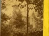 Stereograph
