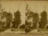 Stereograph