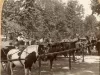 Stereograph