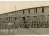 Print, Photographic - Co. F. 310th Eng. - Capt. Jerrel Whyte. - Comdr.