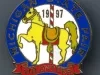 Pin, Promotional
