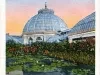 Postcard - 21--Horticultural Building, Belle Isle, Detroit, Mich.