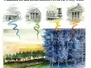 Newsletter - La-Z-News