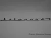 Nameplate