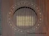 Zither