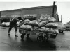 Print, Photographic - Eastern Market
