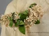 Veil, Wedding