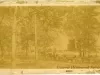 Photograph, Cabinet