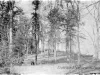 Photograph, Cabinet