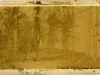 Photograph, Cabinet
