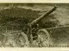 Postcard, Picture