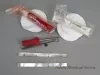 Needle, Injection