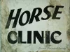Sign, Informational - Horse Clinic