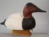 Decoy