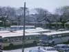 Film, Motion Picture - D.S.R. Orig