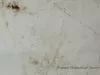 Roof Fabric