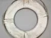 Ring, Life