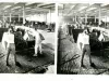 Stereograph - Rubbing Down Hudson Super-Six Bodies Prior to Another Coat of Paint, Hudson Motor Car Co, Detroit, USA